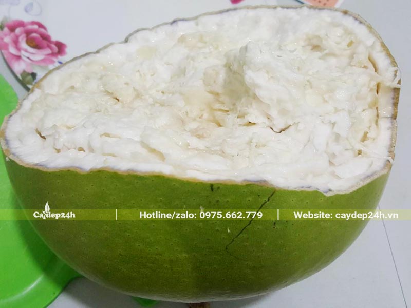 Quả đào tiên đã bổ ra, bên trong là phần thịt màu trắng