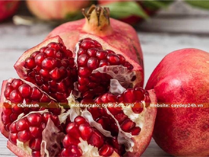 Quả của cây Lựu Ấn Độ