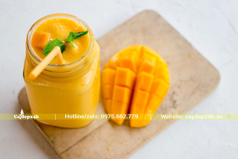 Món sinh tố Xoài được nhiều người Việt yêu thích