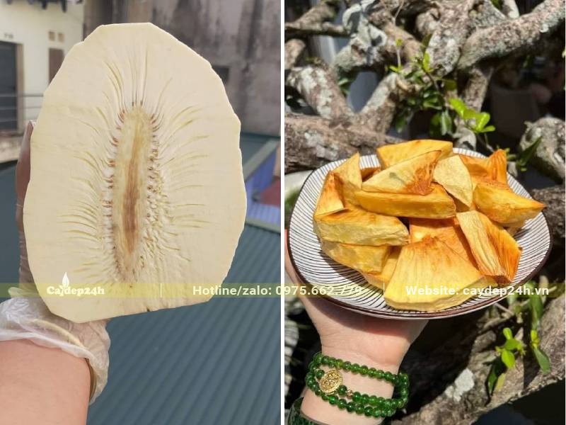 Quả Sa Kê rán có hương vị giống như Bánh Mỳ nướng