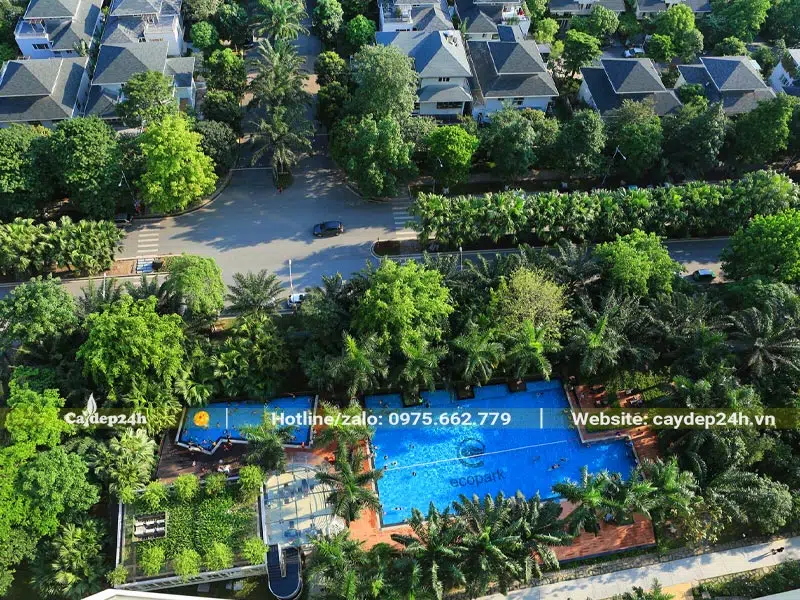 Cây xanh trồng khu đô thị Ecopark
