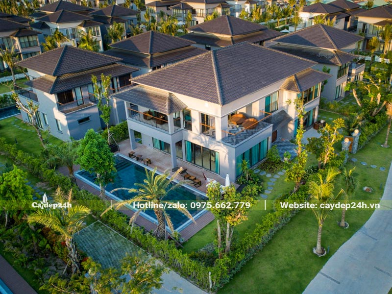 Cây Dừa và cây Chà Là trồng trong khu biệt thự, villa cao cấp ven biển