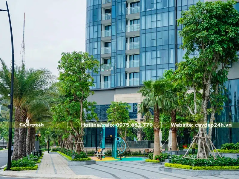 Trồng cây xanh công trình cho khu vui chơi tại một tòa chung cư cao cấp