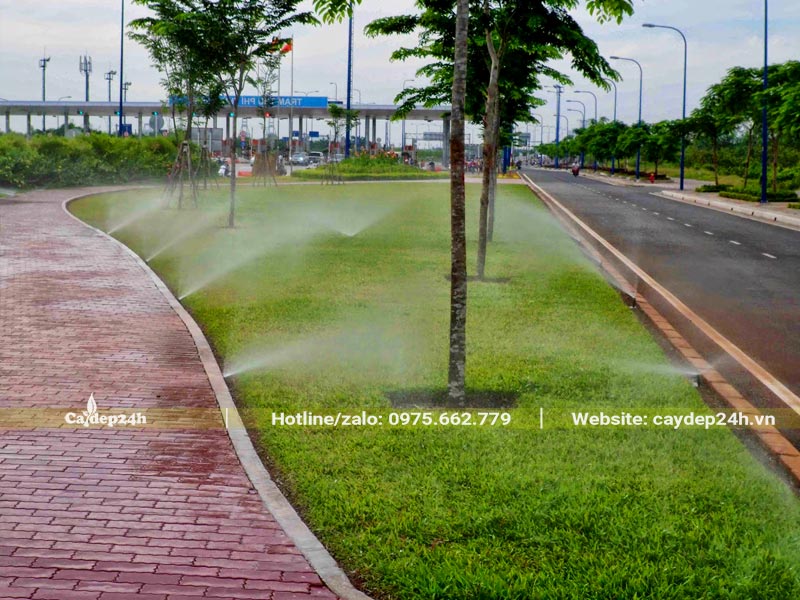 Tưới cây công trình được diễn ra hàng ngày bằng vòi phun tự động