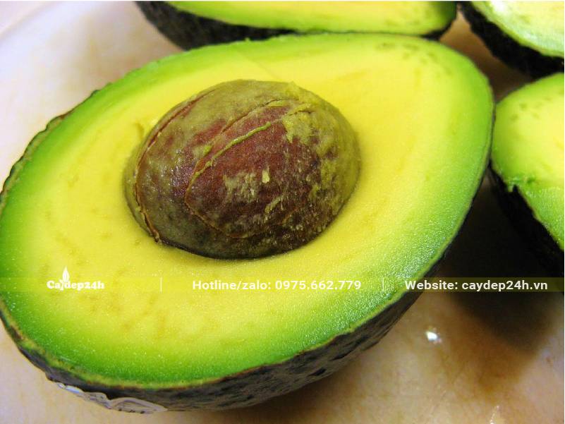 Quả Bơ Sáp đã chín, hạt bên trong tròn xoe