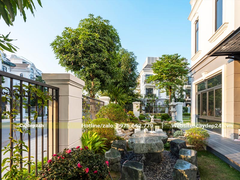 Cây trồng biệt thự đẹp kết hợp với tiểu cảnh