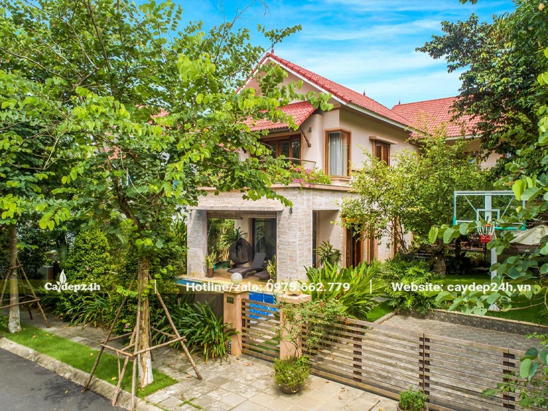 Cây trồng biệt thự đẹp, sắp xếp vị trí hợp lý