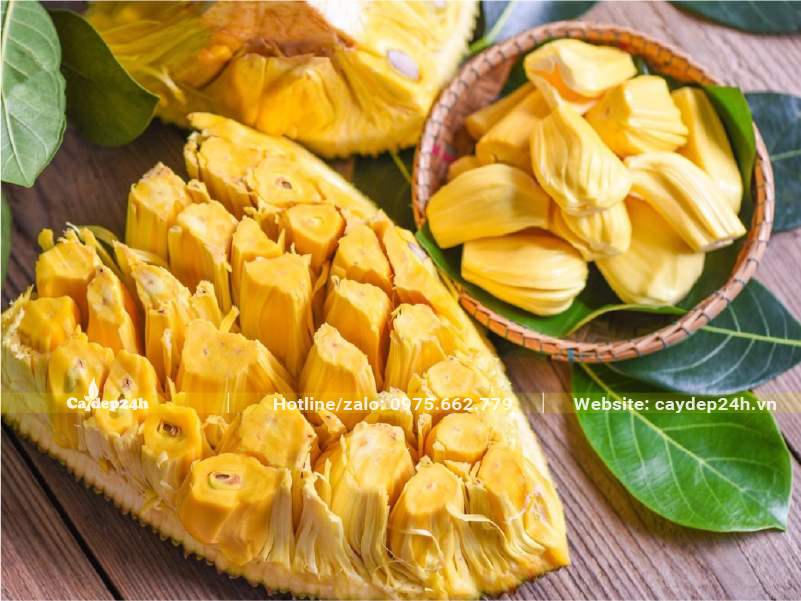 Miếng Mít thơm ngon, múi to, vàng ươm