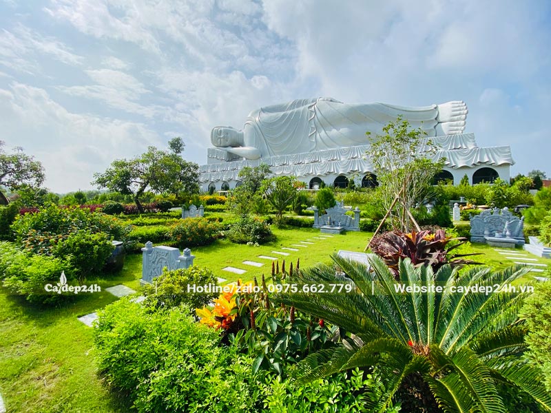 Cây cảnh đẹp trồng ở khu mộ gia đình tại công viên nghĩa trang Thiên Đức