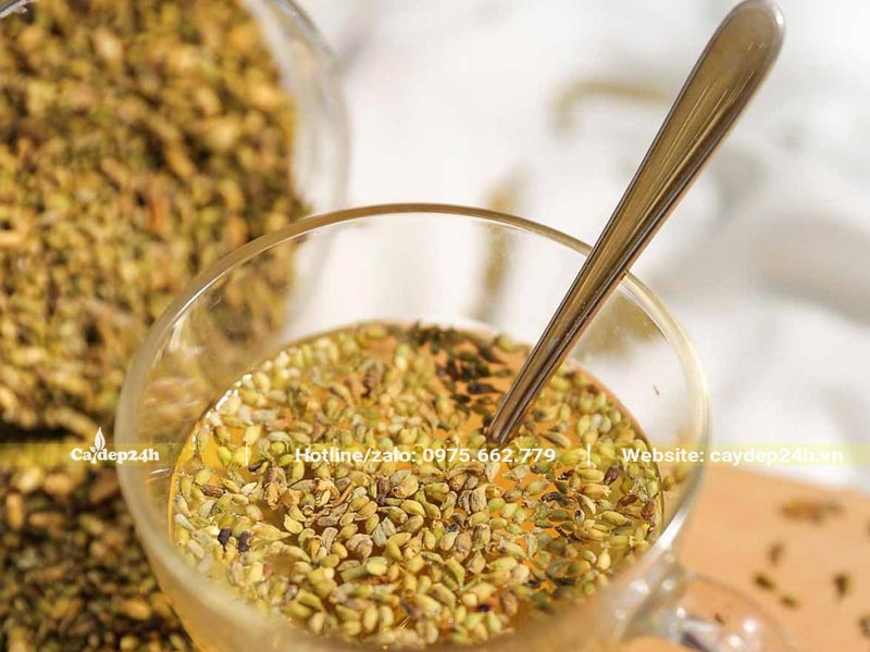 Pha trà bằng nụ Hòe khô