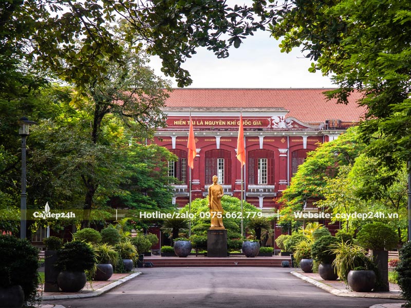 Cây xanh trồng trong trường học được bố trí khoa học, có tính thẩm mỹ cao