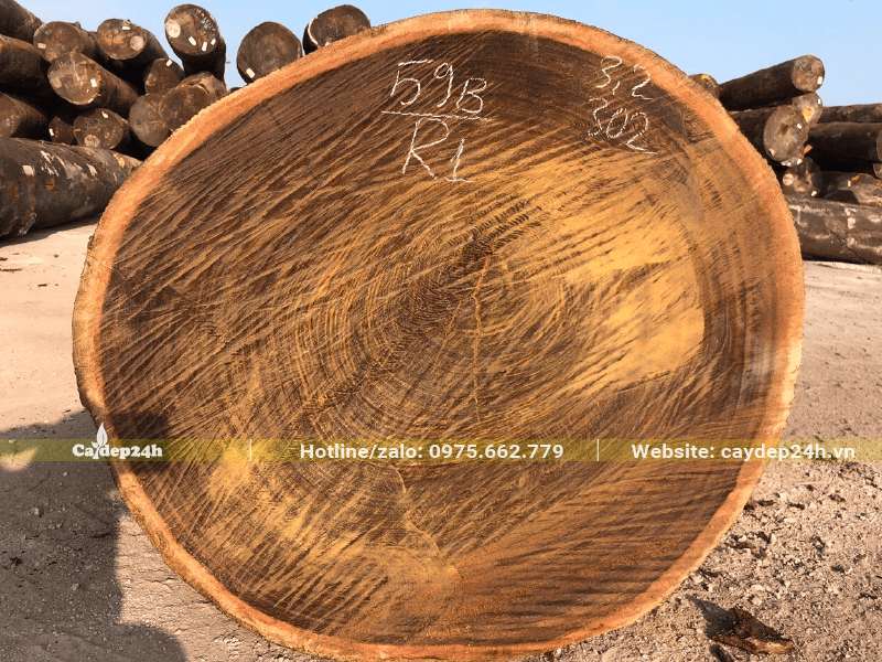 Màu sắc và đường vân của gỗ Lim Xẹt