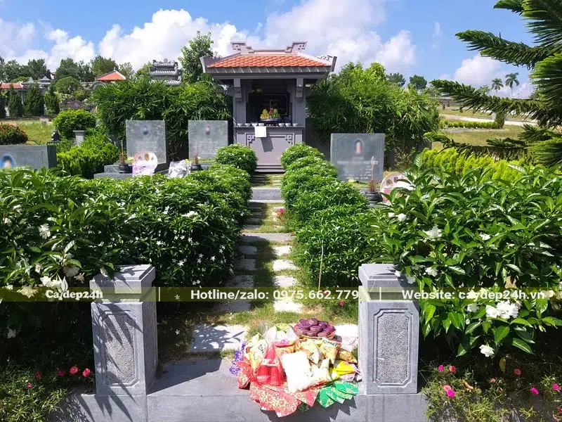 Hàng cây Mai Vạn Phúc trồng đối xứng nhau ở hai bên lối đi vào khu lăng mộ