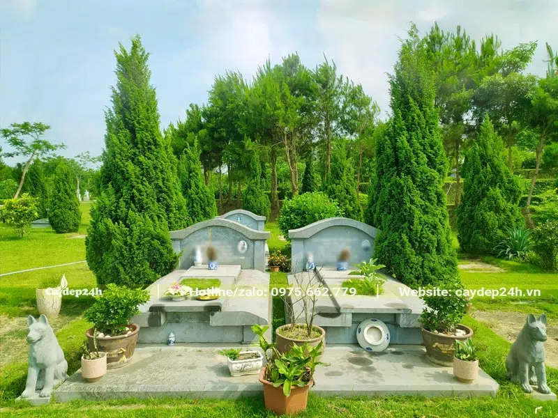 Thi công cây trồng ở mộ đẹp, bố trí đối xứng đảm bảo phong thủy