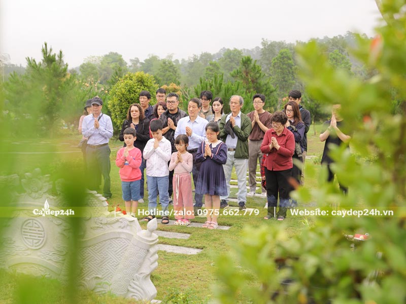 Các gia đình đang dọn dẹp mộ phần, dâng hương cho người đã mất thời điểm Tết Thanh Minh