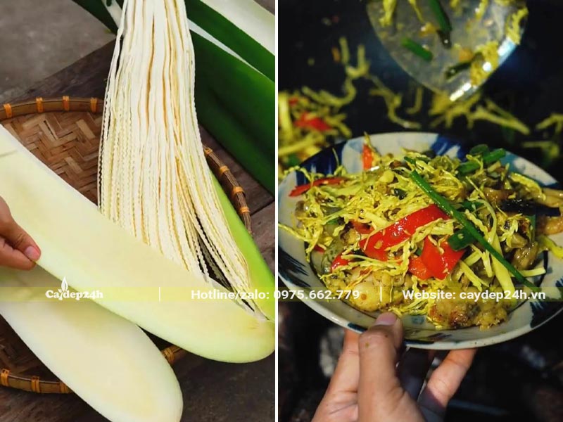 Món hoa Cau non xào siêu ngon