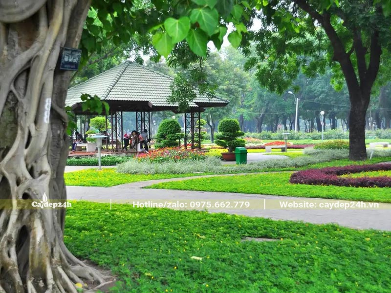 Thảm cỏ xanh tươi giúp không gian đẹp và yên bình