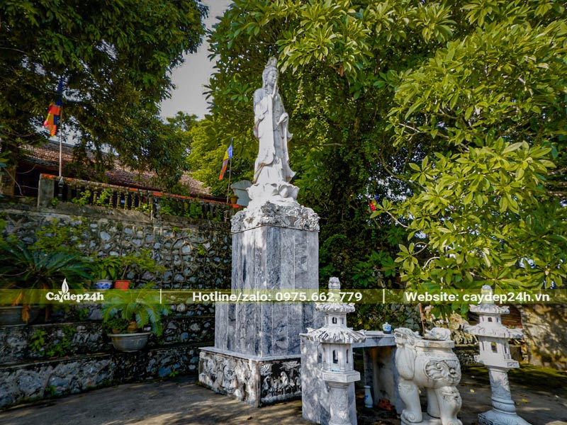 Sân chùa trồng nhiều loại cây tâm linh cao lớn để lấy bóng mát