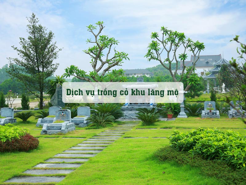 Thi công dịch vụ trồng cỏ cho khuôn viên khu lăng mộ gia đình