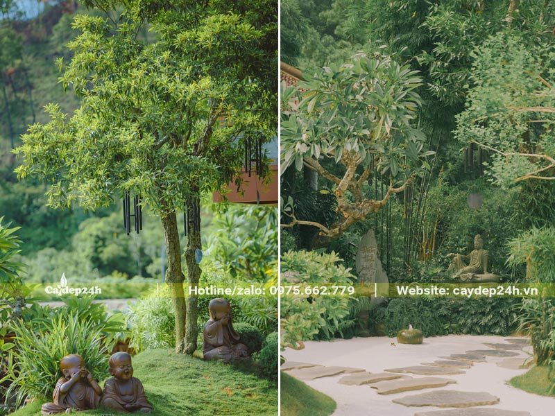 Không gian sân vườn trồng đầy cây xanh của một ngôi chùa tại Hà Nam