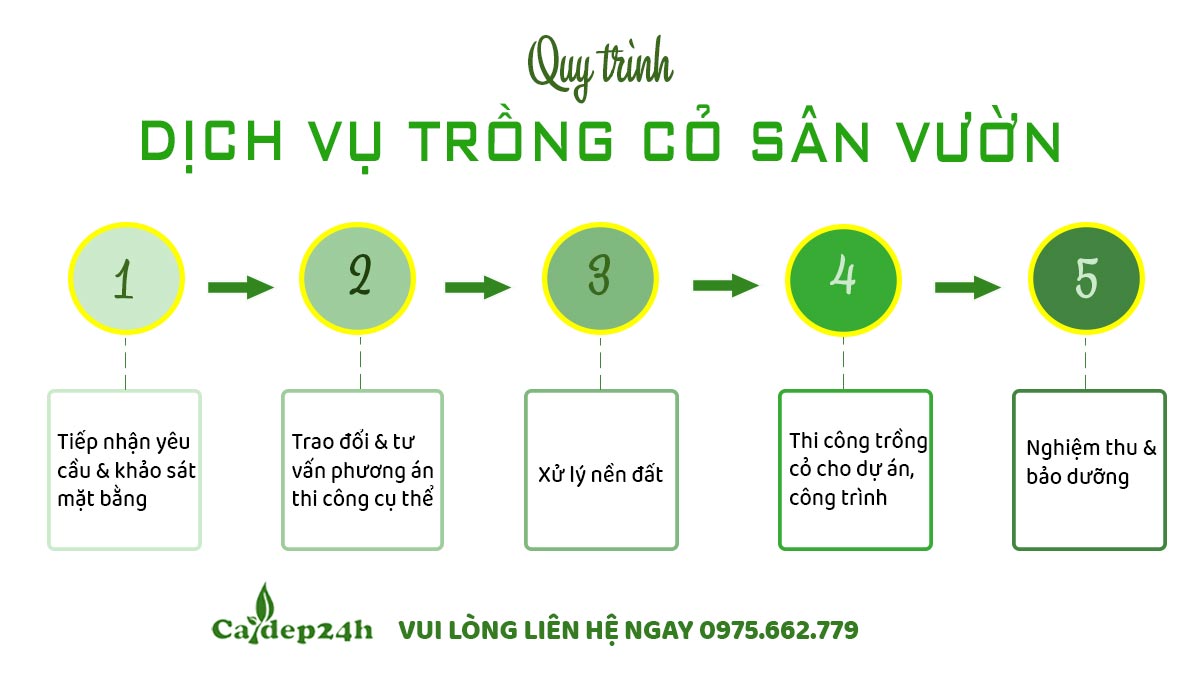 Sơ đồ về quy trình dịch vụ trồng cỏ sân vườn và cho mọi công trình