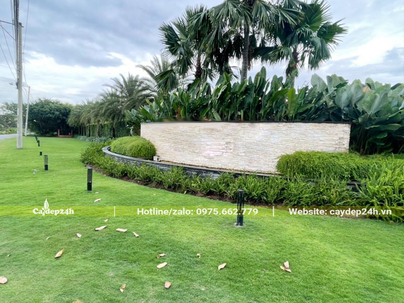 Thảm cỏ xanh trải dài tại một khu nghỉ dưỡng cao cấp