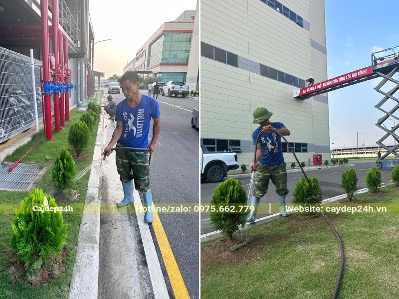 Công nhân đang tưới nước cấp ẩm cho cây trồng nhà máy tại Hải Phòng