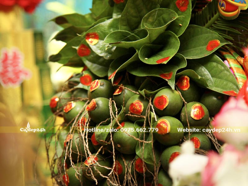 Buồng Cau đước trang trí đẹp dùng trong ngày lễ ăn hỏi của các cặp đôi