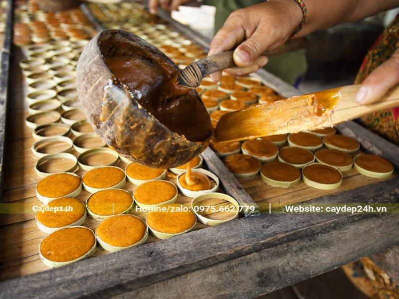 Đường Thốt Nốt sau khi cô đặc được đổ vào khuôn