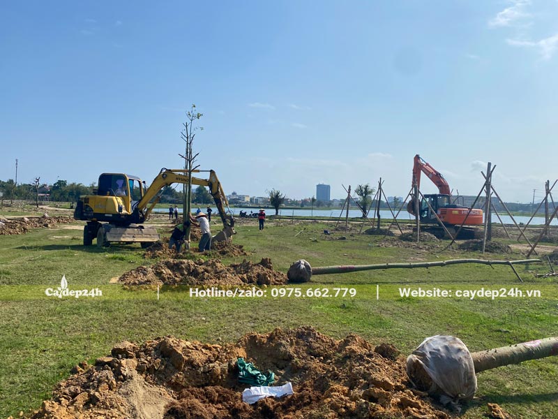 Tiến hành trồng cây xanh tại hồ điều hòa Hà Tĩnh