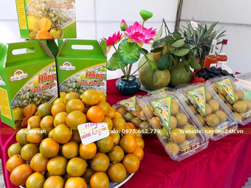 Quả Hồng Tết được đóng hộp bày bán ở nhiều siêu thị trên khắp cả nước