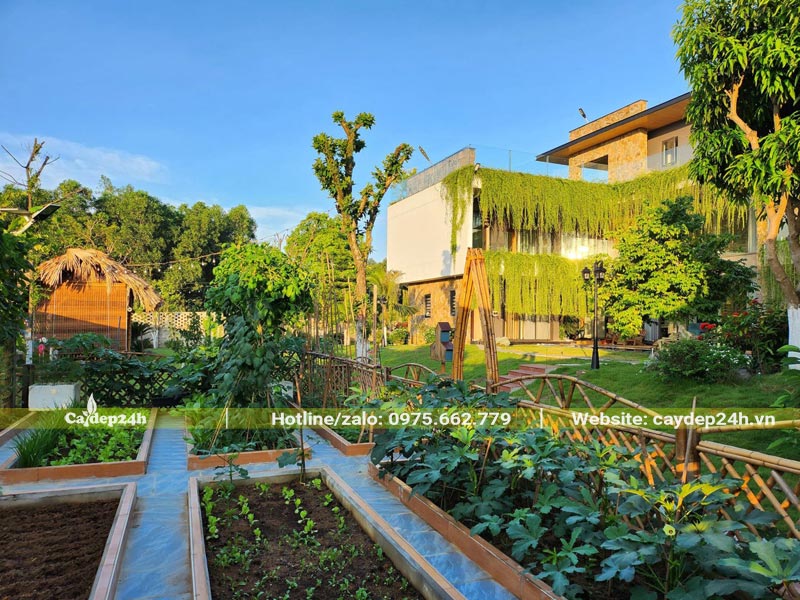 Sân vườn nhà quê được thiết kế và bố trí khoa học