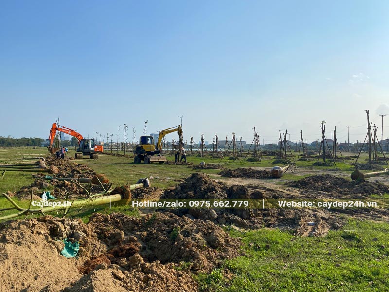 Máy súc đang đào hố trồng cây xanh tại hồ điều hòa Hà Tĩnh