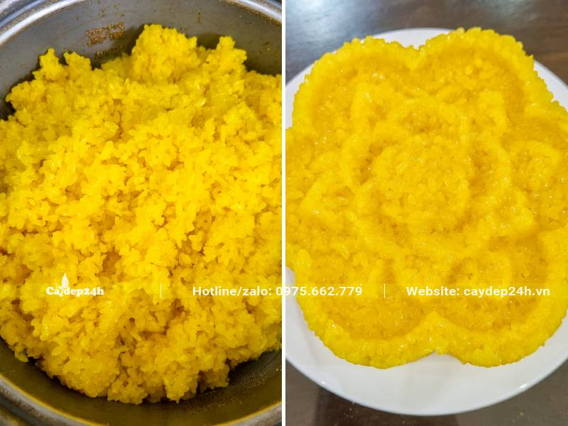 Nấu xối từ quả Bạch Thiên Hương