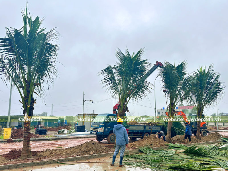 Đội ngũ kỹ sư giám sát chặt chẽ quá trình trồng cây tại Nhà máy Nhiệt Điện Nghi Sơn