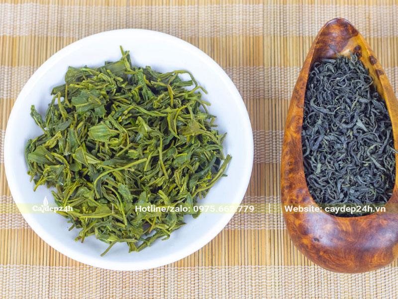 Bã chè được giữ lại dùng trong những mẹo vặt cuộc sống