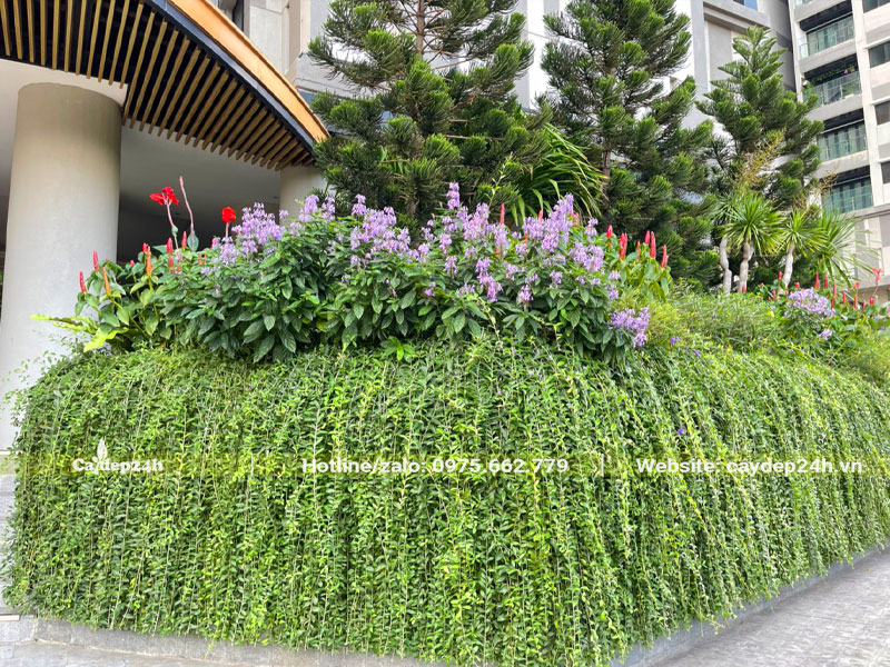 Tiểu cảnh xanh trang trí ngoại thất khách sạn