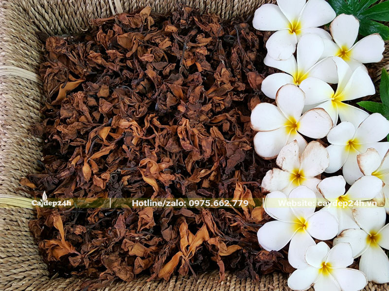 Phơi khô hoa đại để làm thuốc