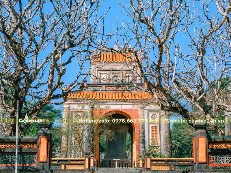 Hai cây đại cổ thụ trồng ở khu lăng mộ vua chúa