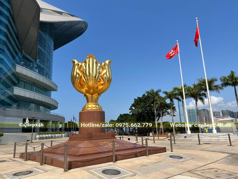 Hình ảnh hoa Dương Tử kinh được tạc thành tượng đặt trước một trị sở hành chính