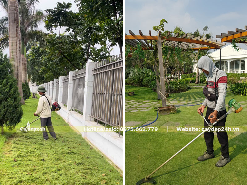 Máy cắt cỏ nhung nhật cầm tay chạy bằng xăng