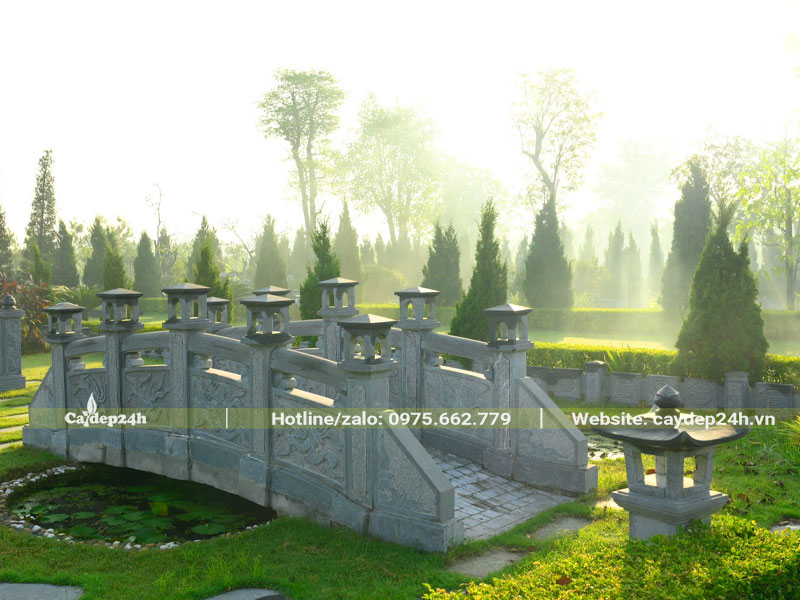 Trồng cây Tùng Tháp trong khuôn viên sân vườn thiết kế theo phong cách truyền thống