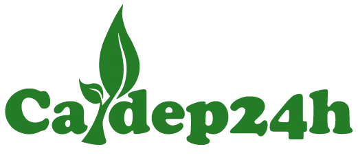 logo caydep24h.vn