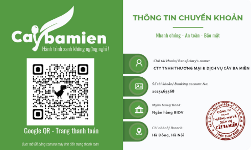 Thông tin chuyển khoảng