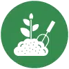 Icon bảo hành cây uy tín