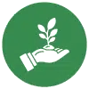 cây có nguồn gốc rõ ràng icon