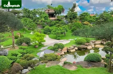 Dịch vụ thiết kế sân vườn đẹp