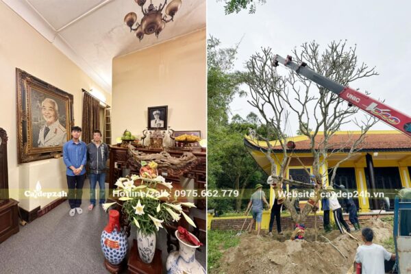 Dâng hương và thi công trồng cây cho khu mộ Đại tướng Võ Nguyên Giáp