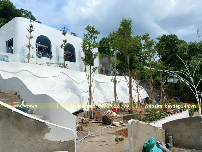 Trồng cây bóng mát xung quanh quán cafe ở Vũng Tàu