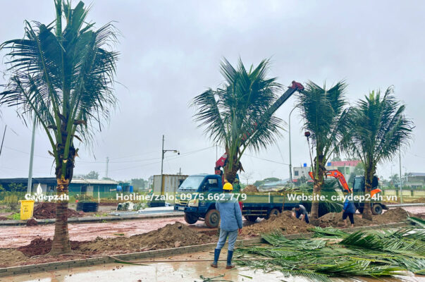 Trồng cây tại nhà máy nhiệt điện Nghi Sơn vào những ngày cuối tháng 2/2024